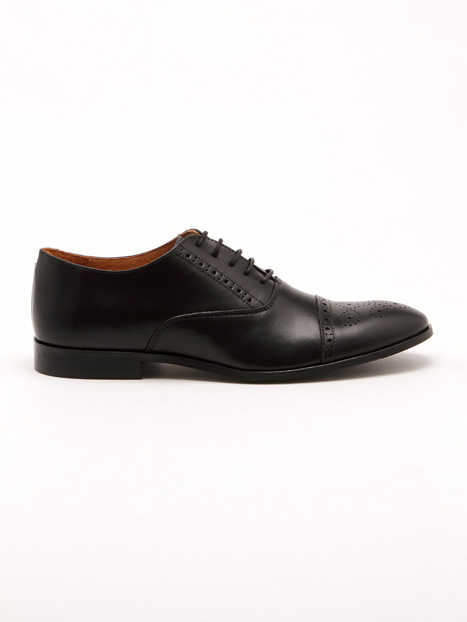 Derby Brogue Shoes in Leather