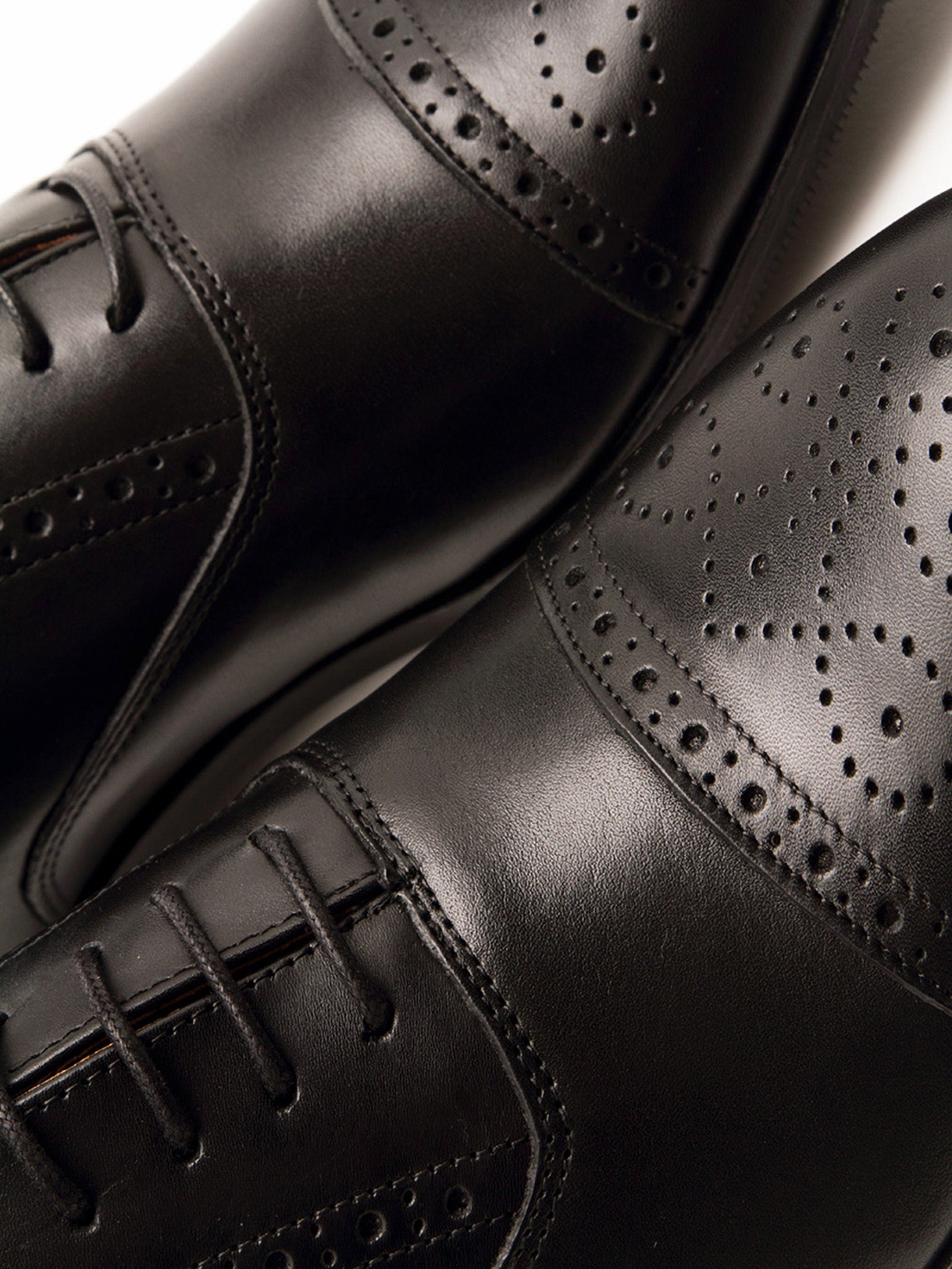 Derby Brogue Shoes in Leather