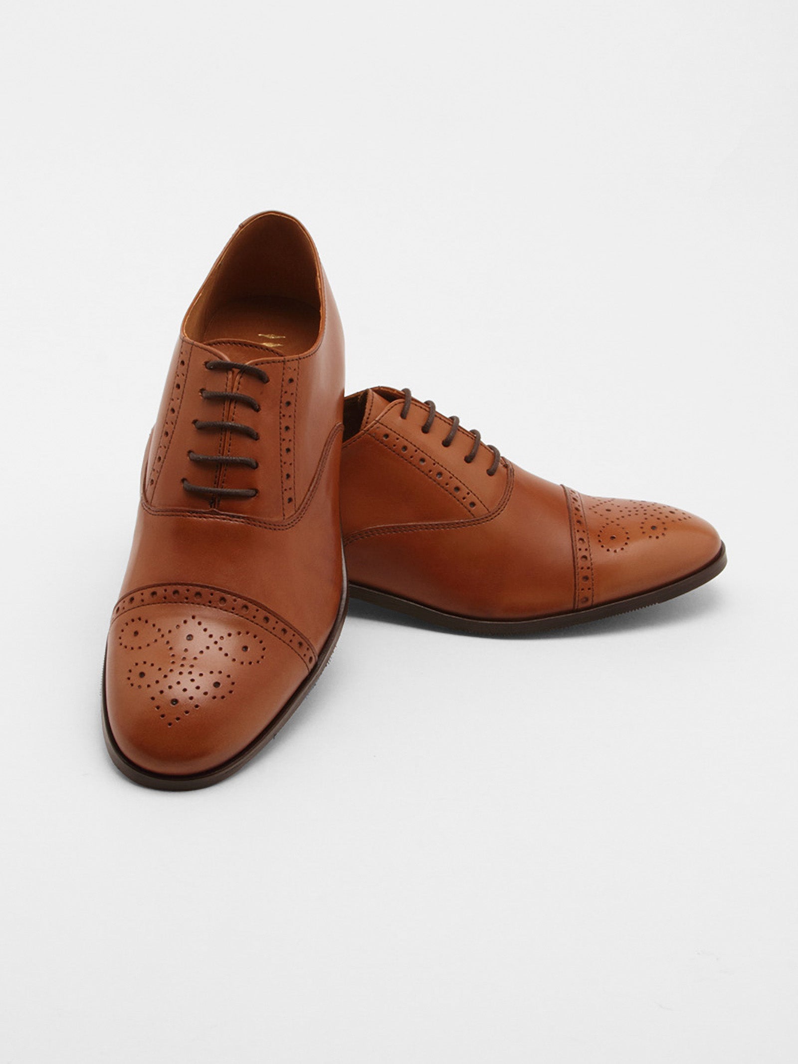 Derby Brogue Shoes in Leather